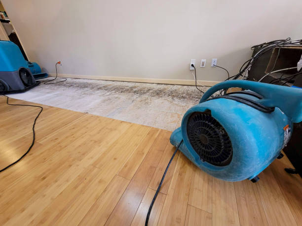 Professional Water Extraction technician working in Naples, FL